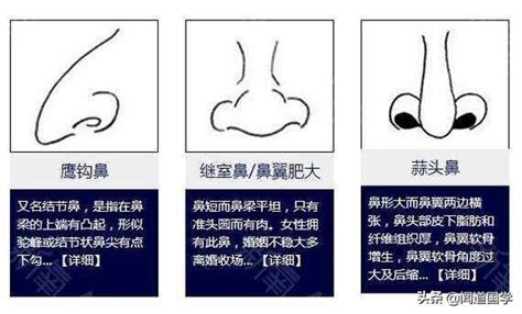 鼻 相學|2024最新鼻相解讀